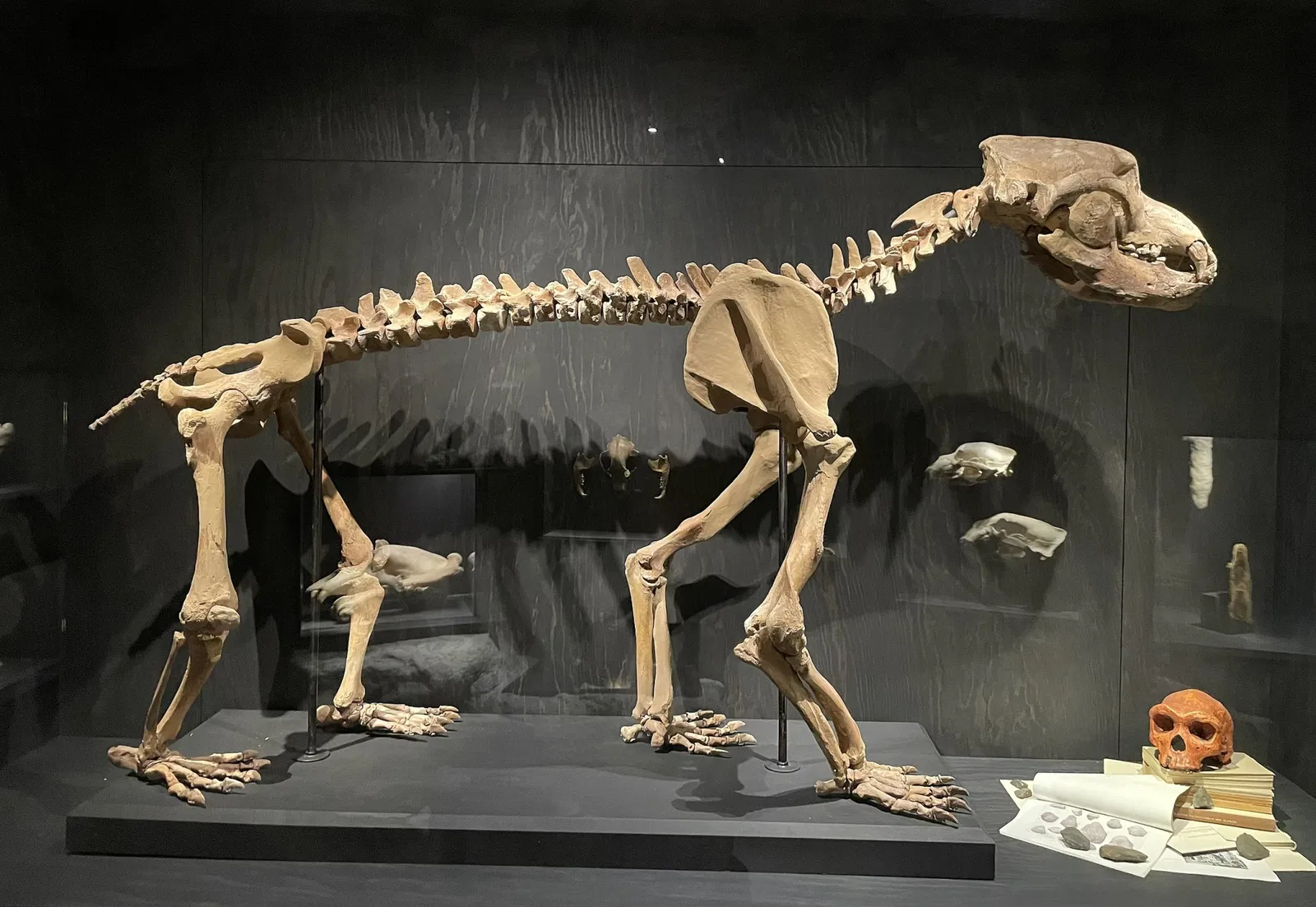 Natural History Museum St. Gallen