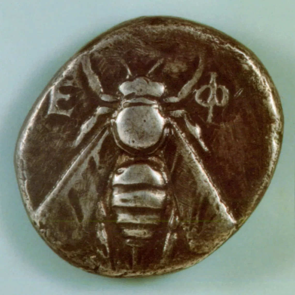 Museo Arqueológico de Éfeso