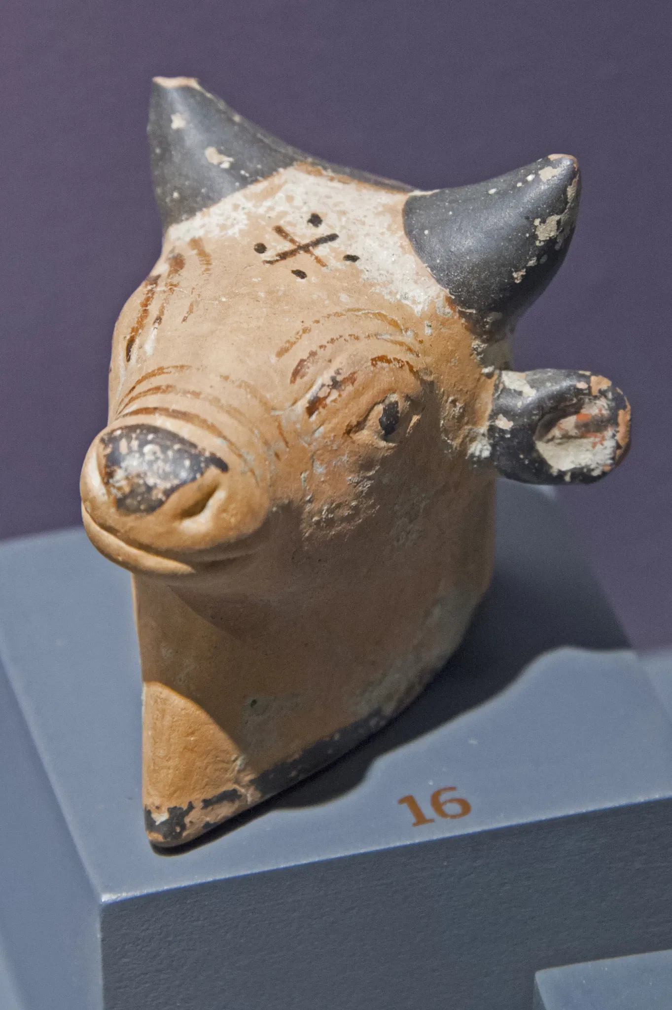 Museo archeologico di Efeso