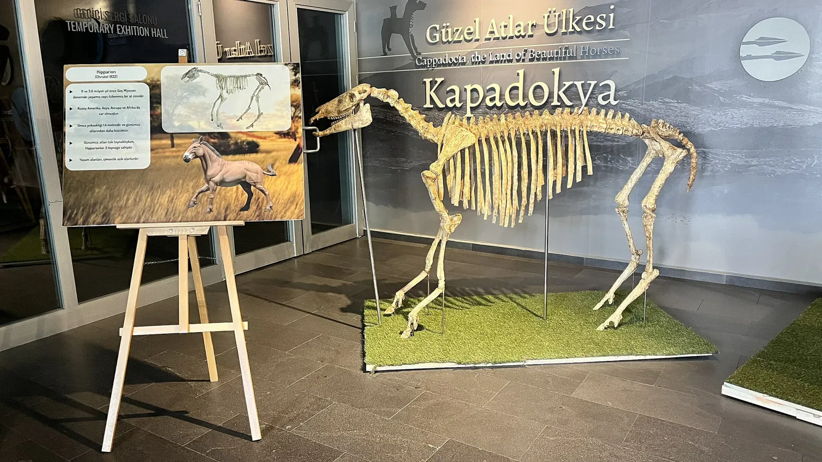 Kayseri Archaeology Museum