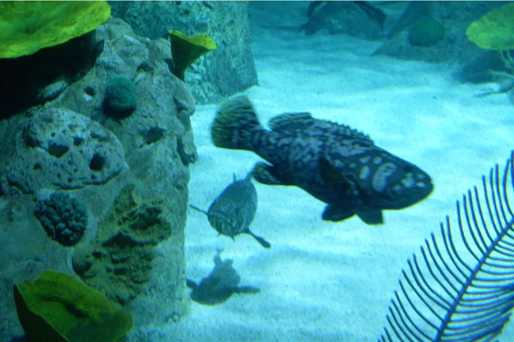 Aquarium d'Istanbul