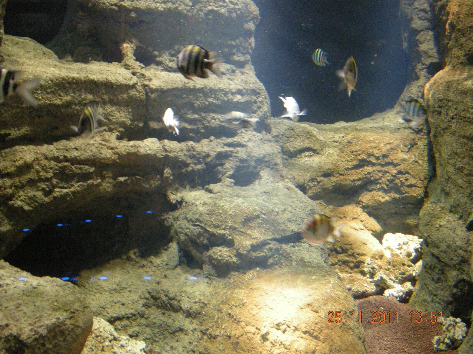 Istanbul Aquarium