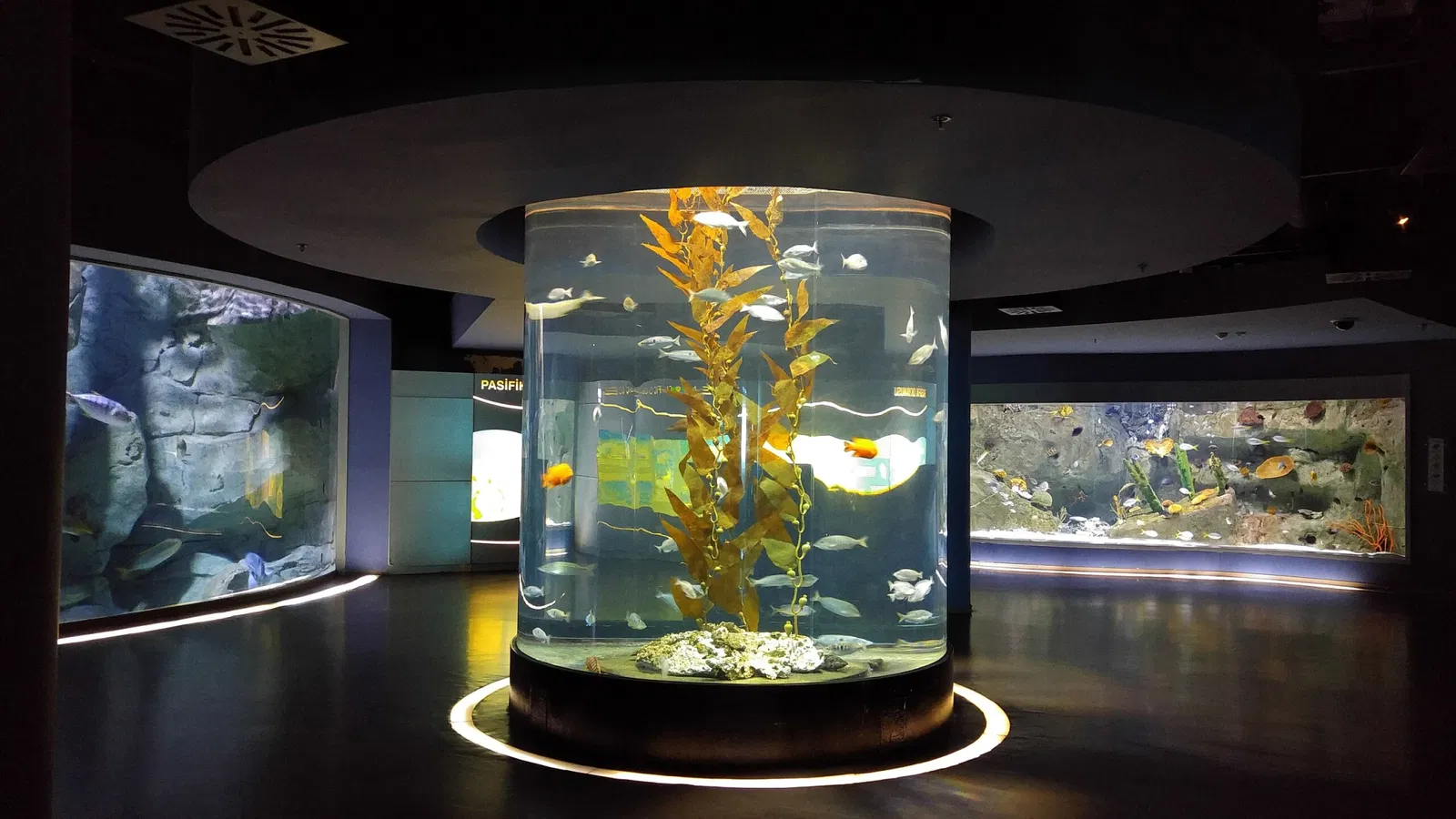 Istanbul Aquarium