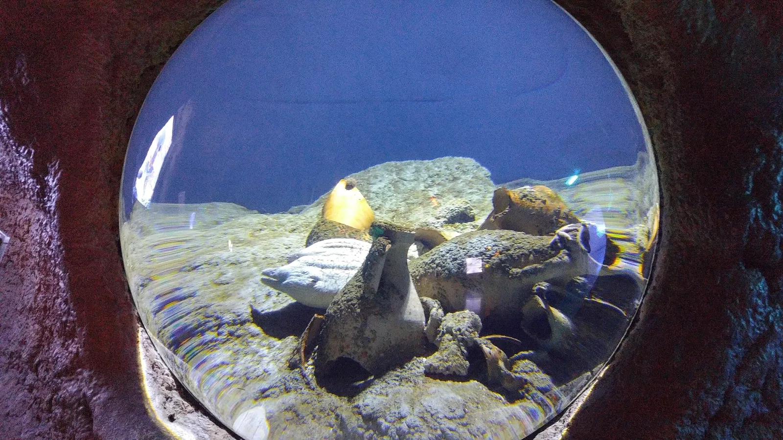Istanbul Aquarium