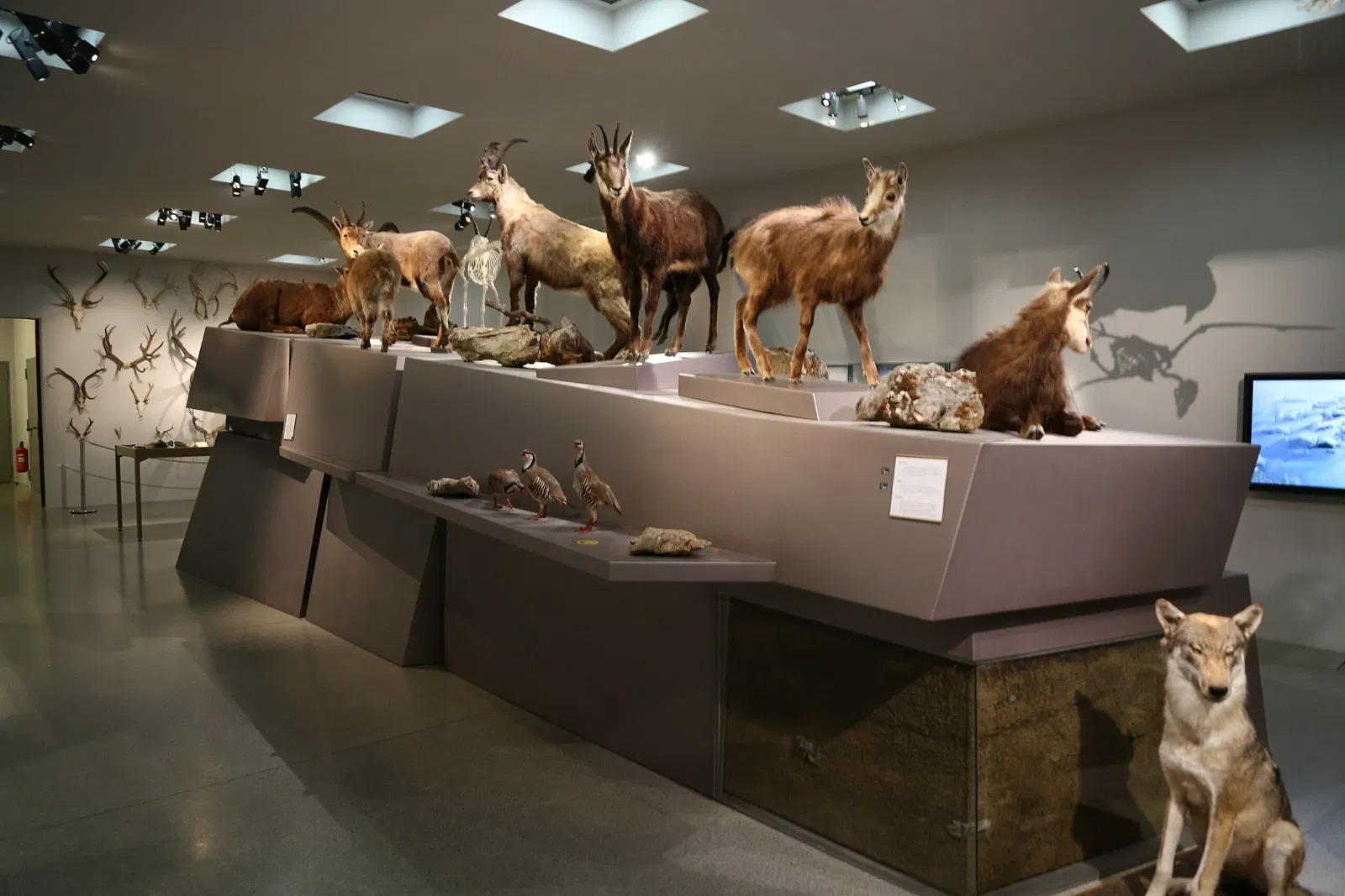 Liechtensteinisches Landesmuseum