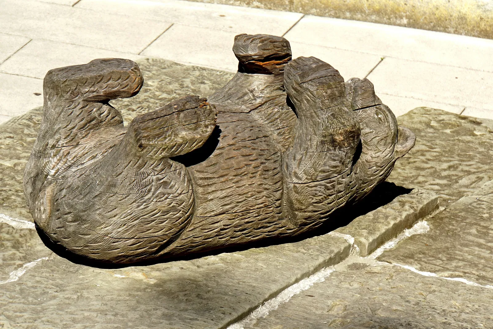 Tierpark Bern - BärenPark