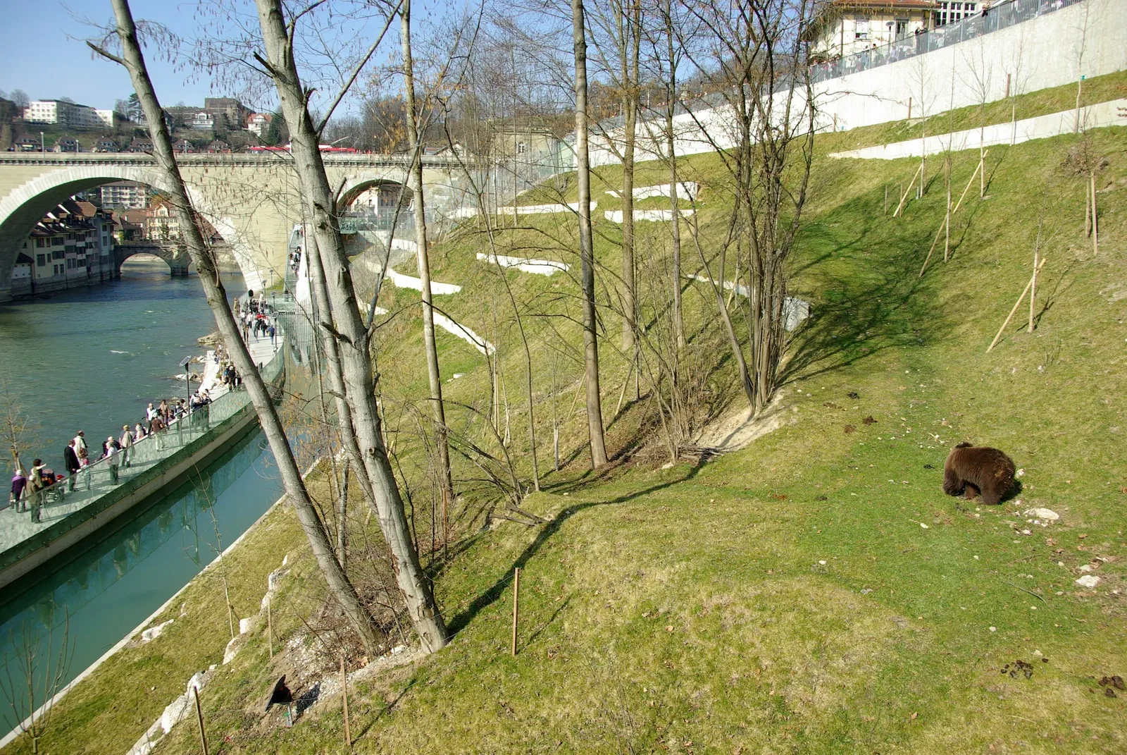 Fosse aux ours de Berne