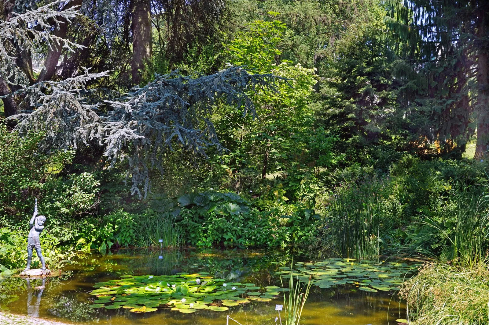 Botanischer Garten der Universität Bern