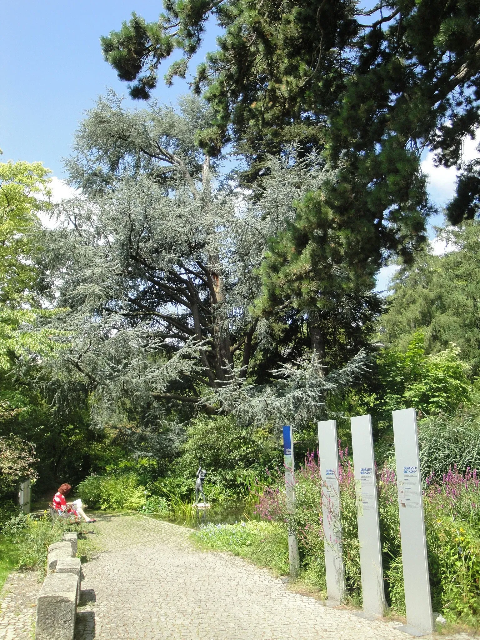 Universität Bern Botanical Garden