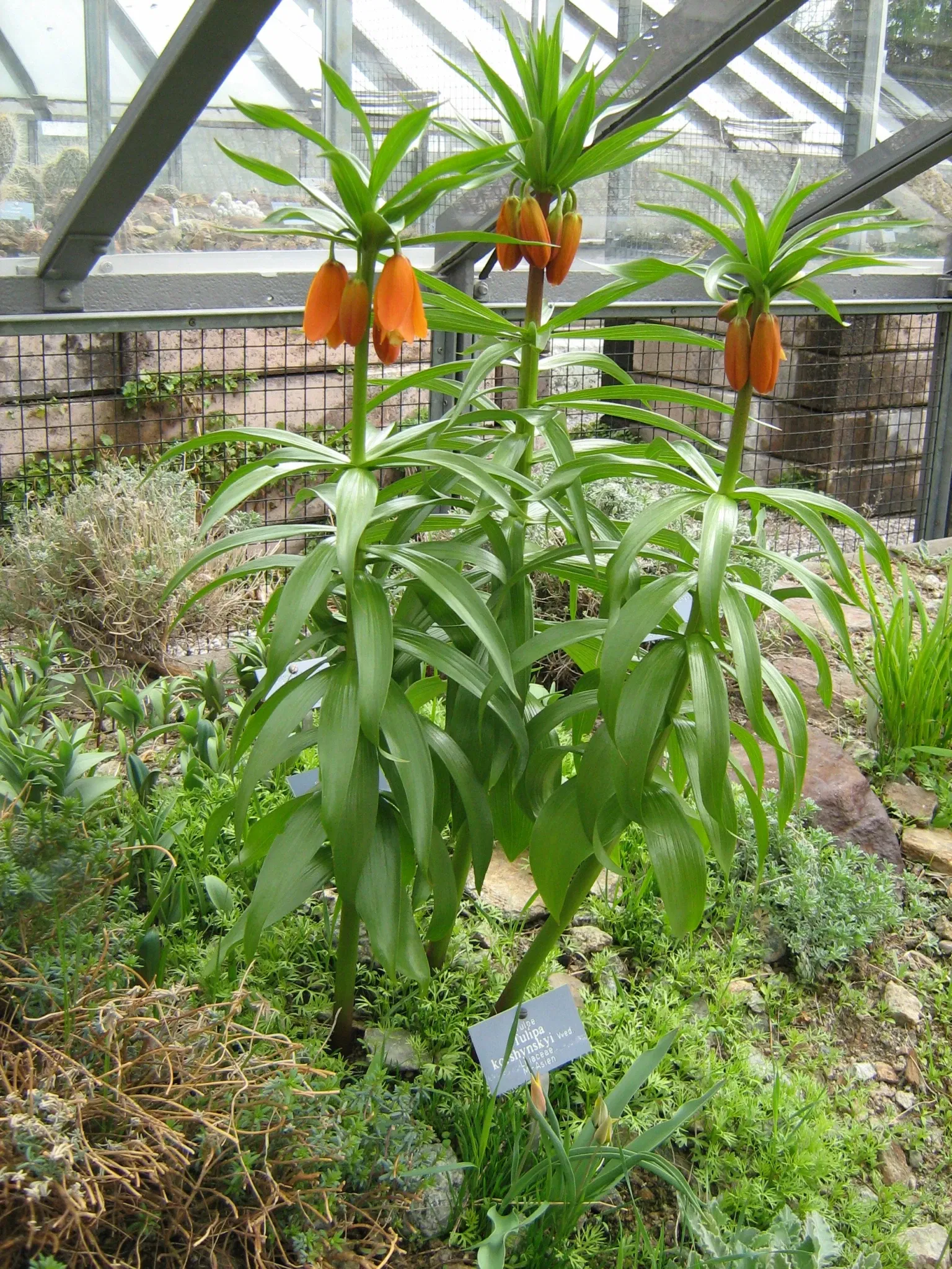 Universität Bern Botanical Garden