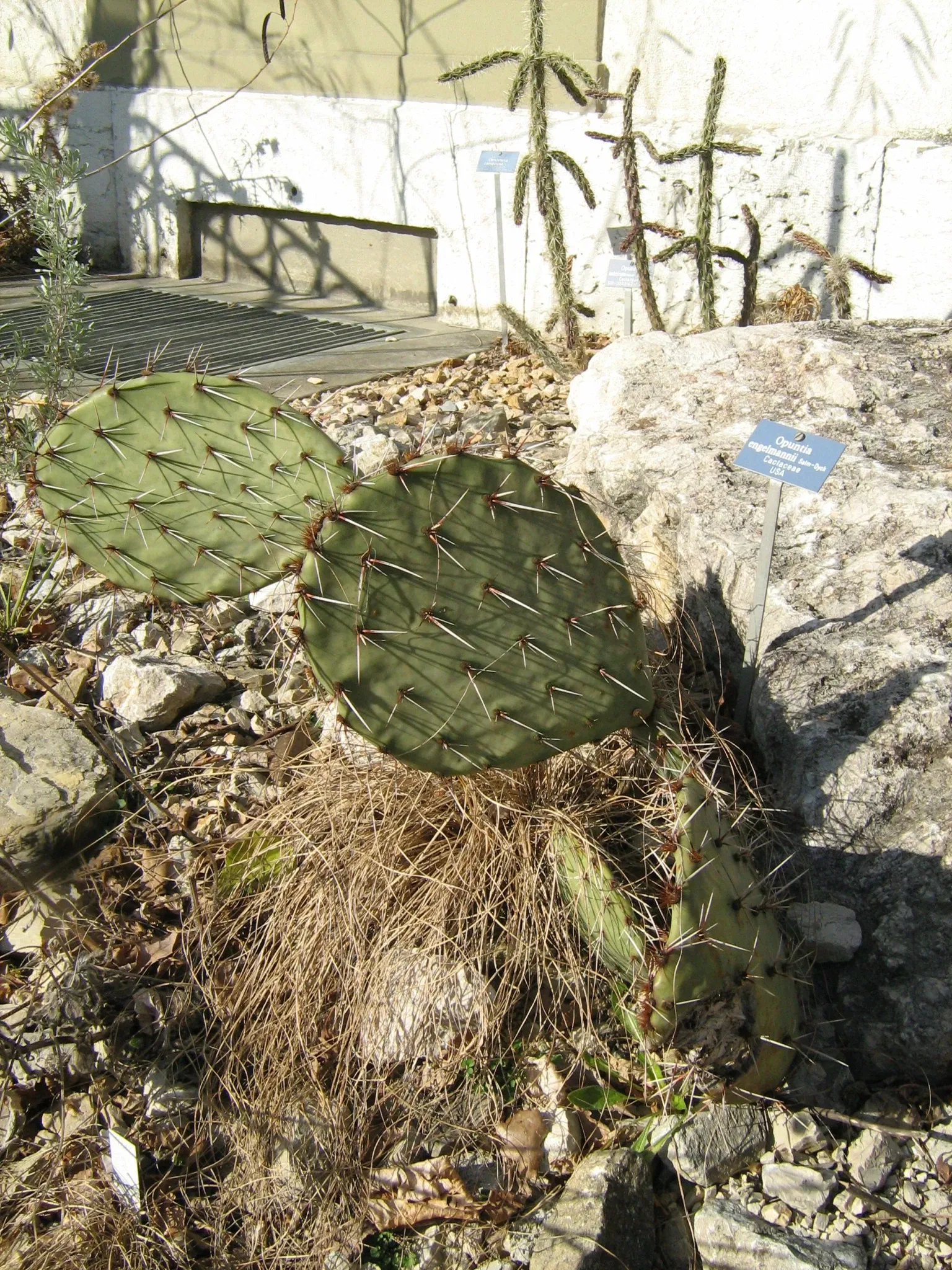 Botanischer Garten der Universität Bern