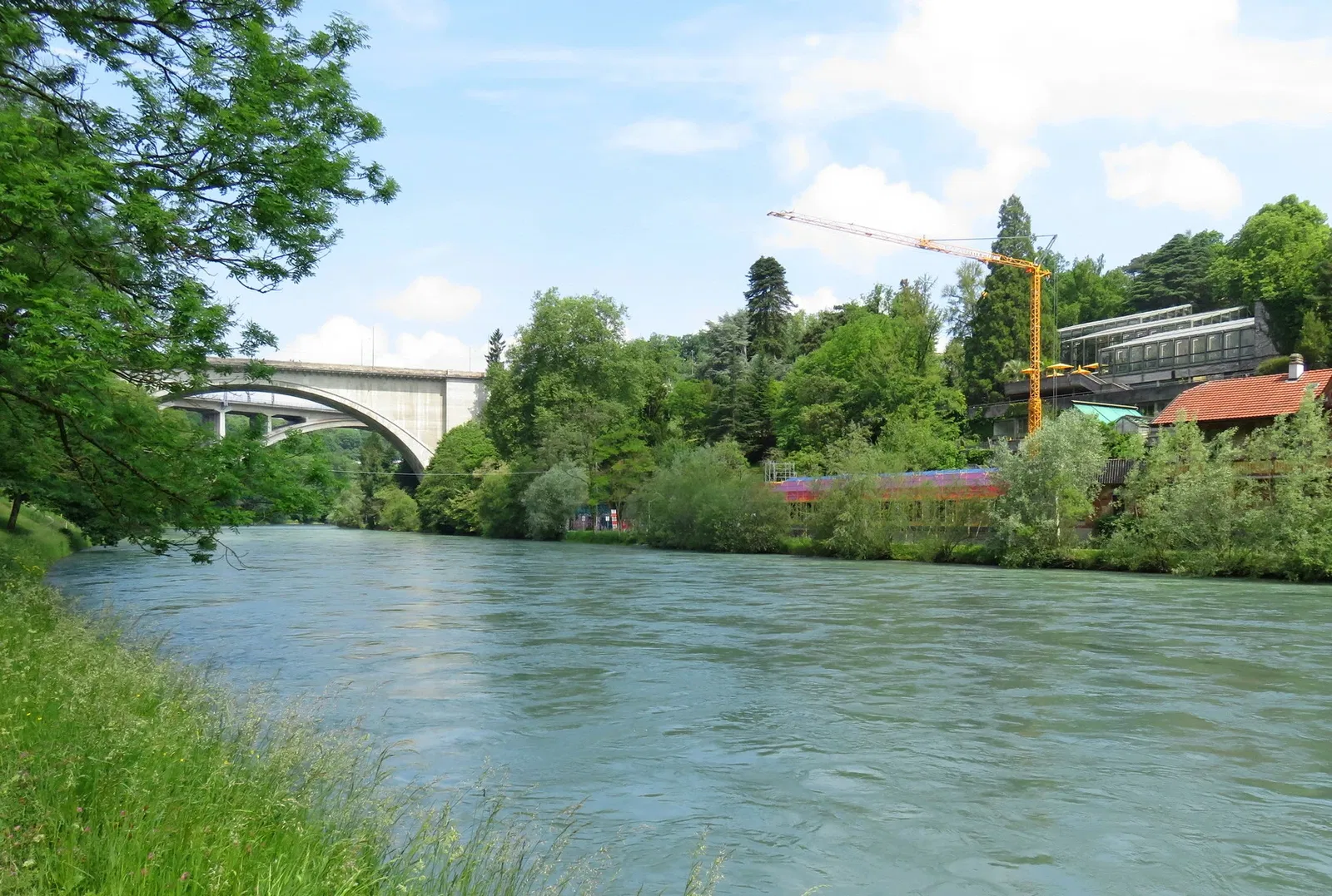 Botanischer Garten der Universität Bern
