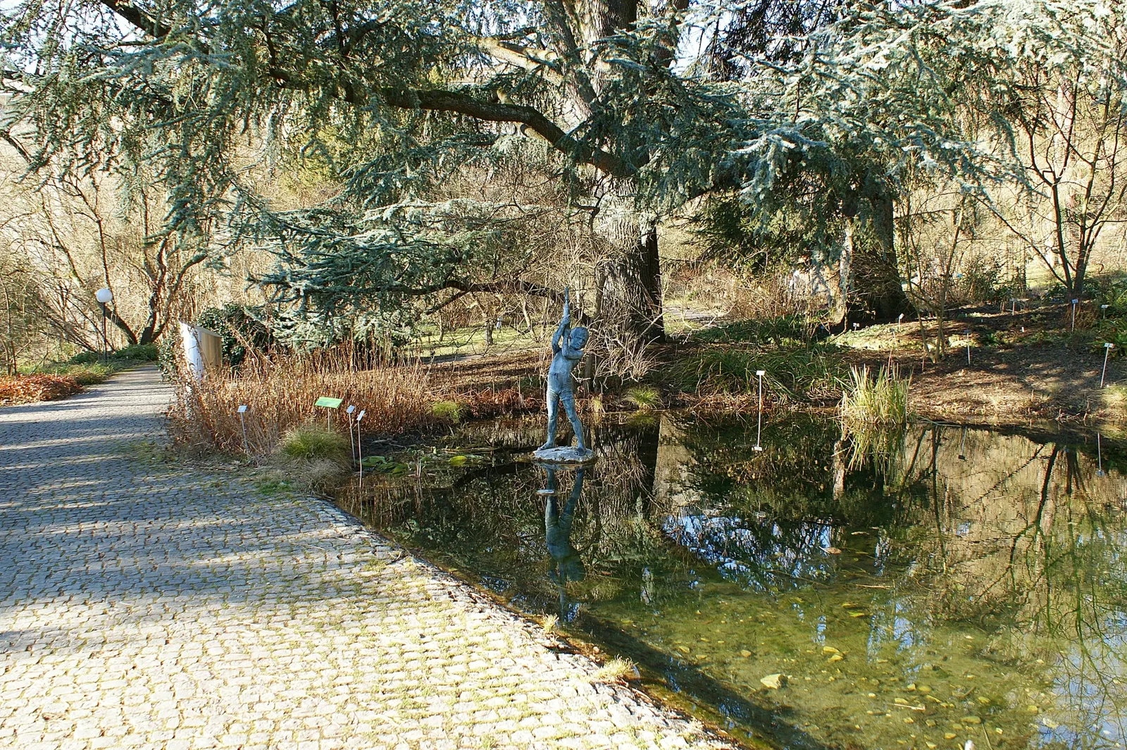 Universität Bern Botanical Garden