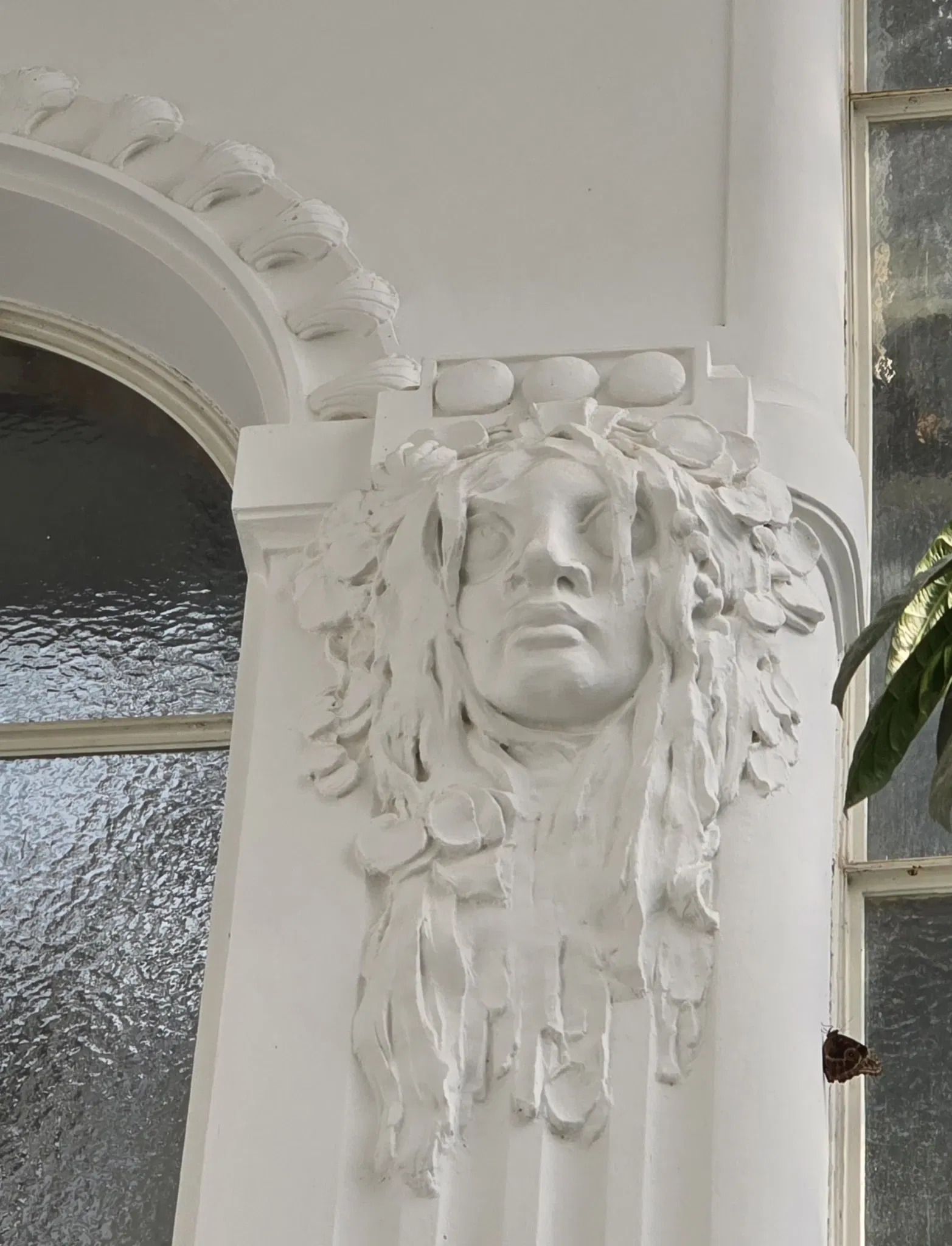 Butterflyhouse Hofburg Palace