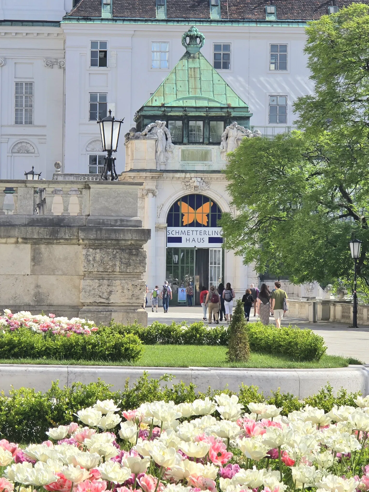 Butterflyhouse Hofburg Palace