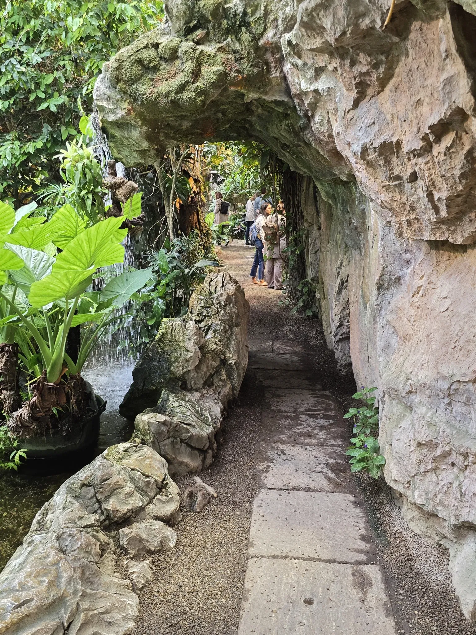 Schmetterlinghaus Hofburg