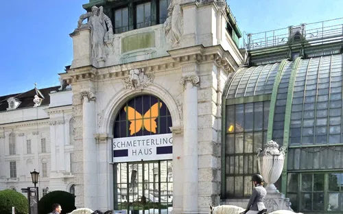 Butterflyhouse Hofburg Palace