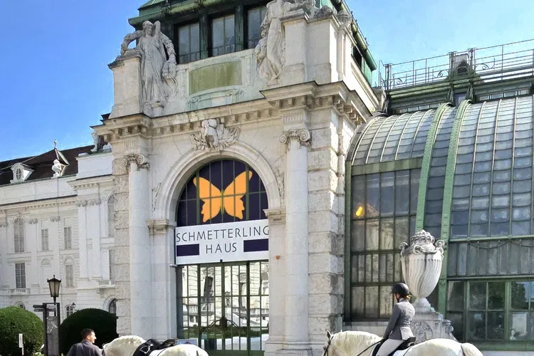 Butterflyhouse Hofburg Palace