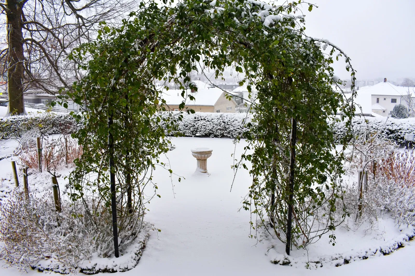 Museo de la Naturaleza y jardín botánico de Agder