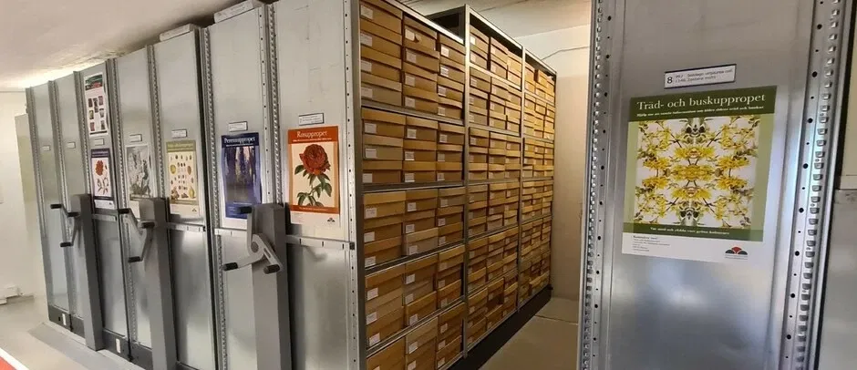 Museo de la Naturaleza y jardín botánico de Agder