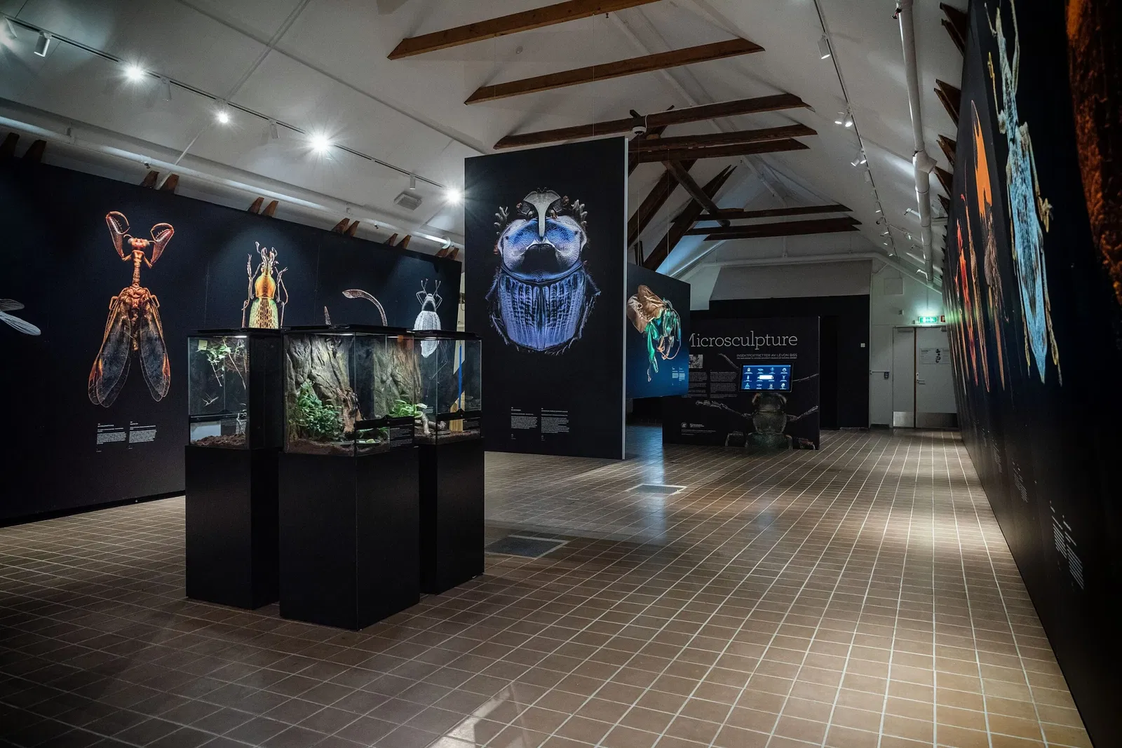 Museo de la Naturaleza y jardín botánico de Agder