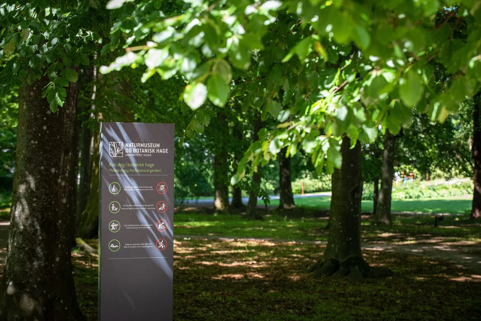 Natural History Museum and Botanical Garden