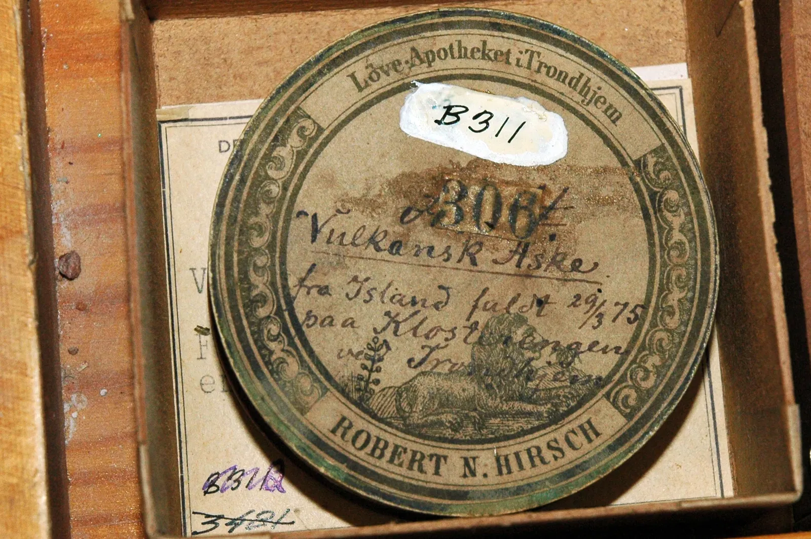 The NTNU University Museum