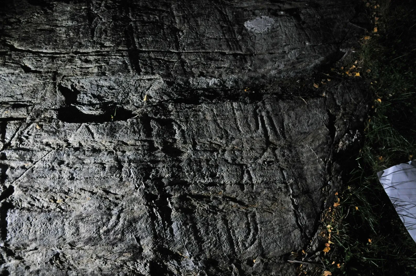 The NTNU University Museum