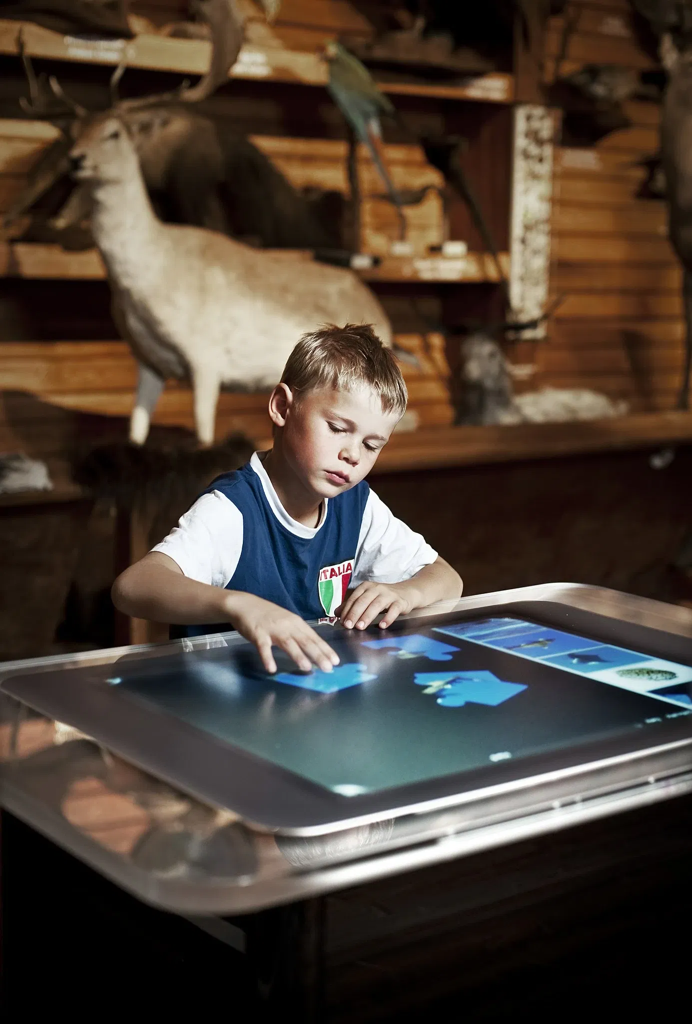 The NTNU University Museum