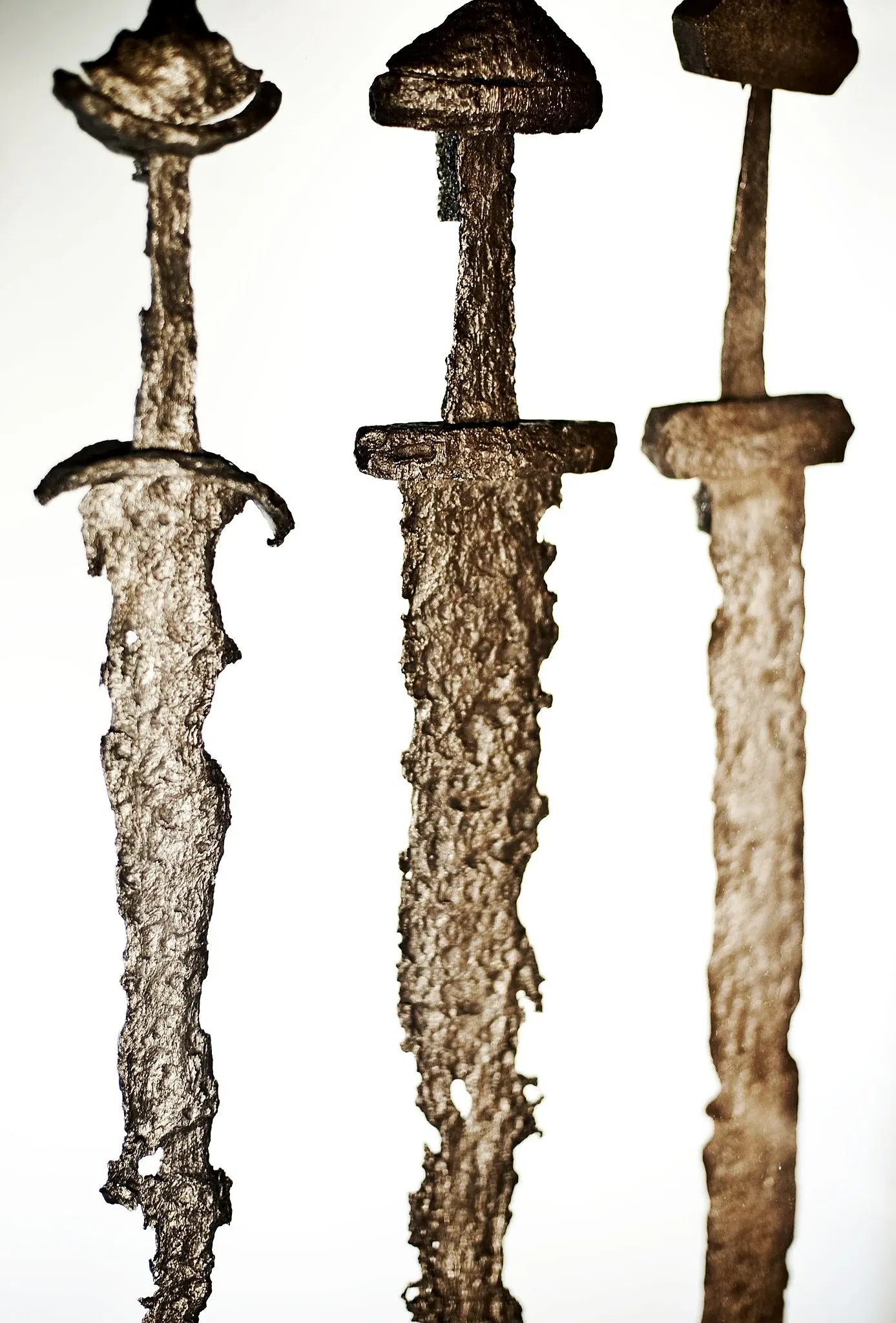 Muséum d'histoire naturelle et d'archéologie de Trondheim