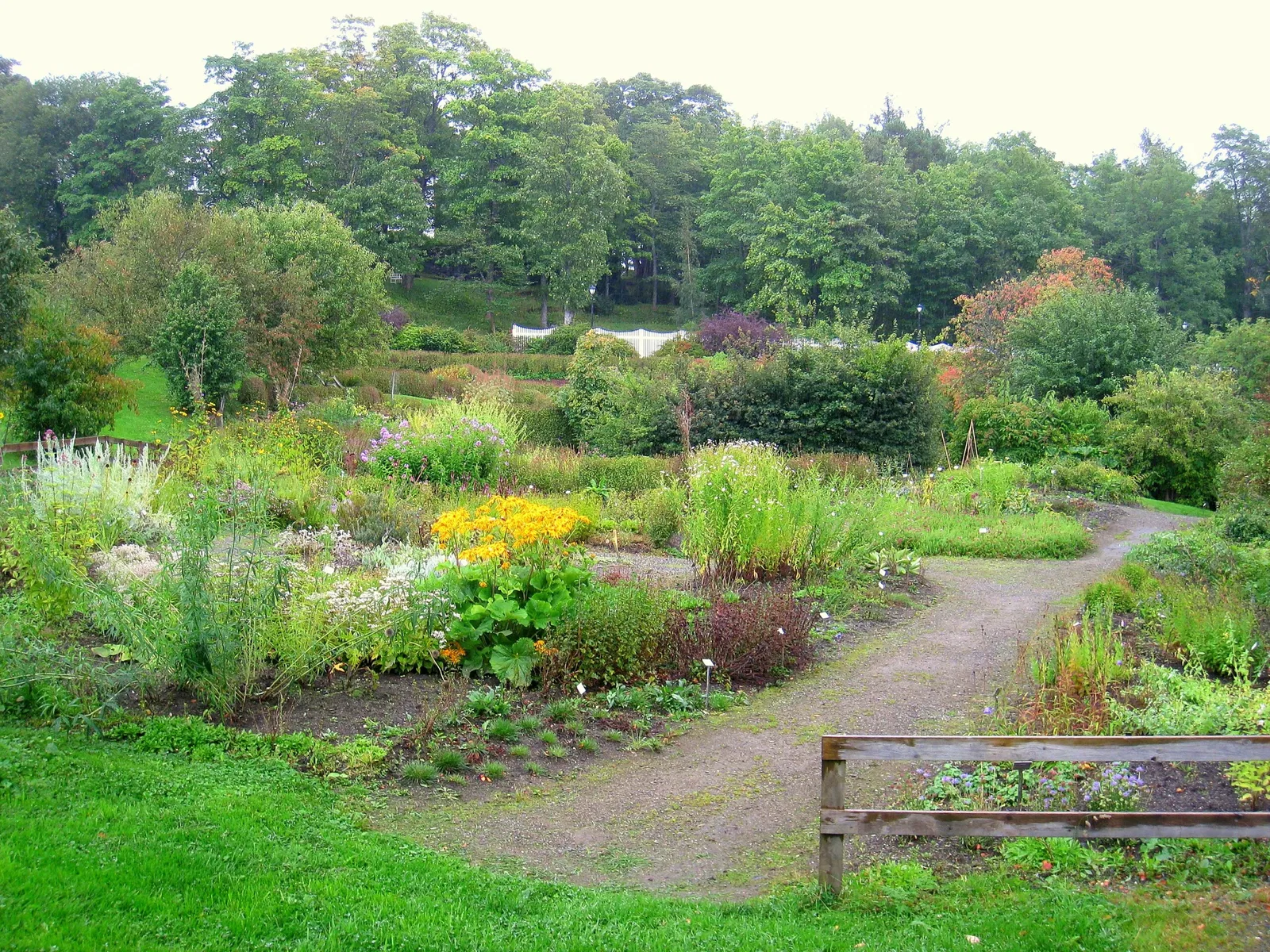 Jardín botánico y museo Ringve
