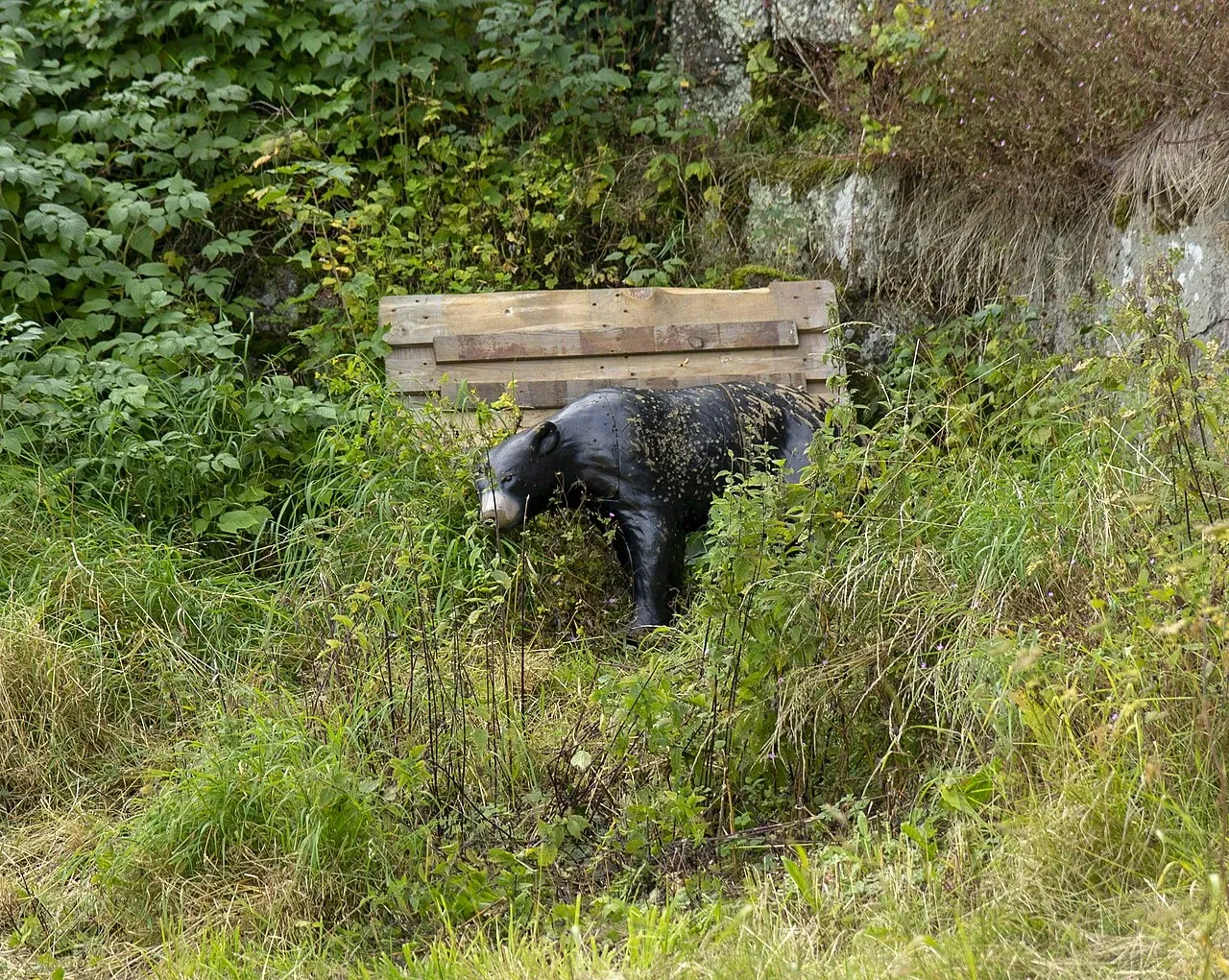 The Slottsfjells Museum