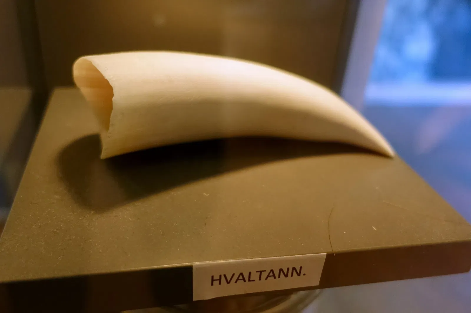 The Slottsfjells Museum