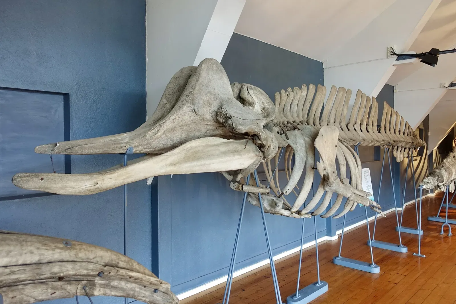 The Slottsfjells Museum