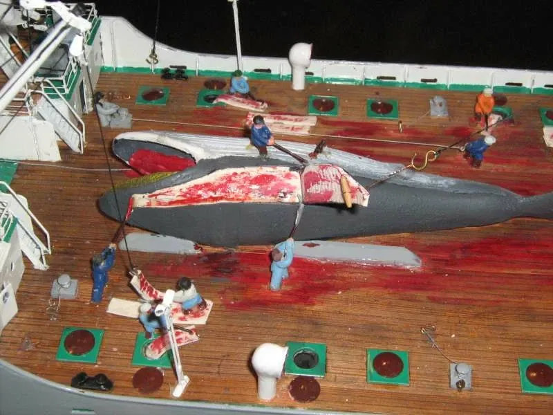 Museo della caccia alla balena (Sandefjord)