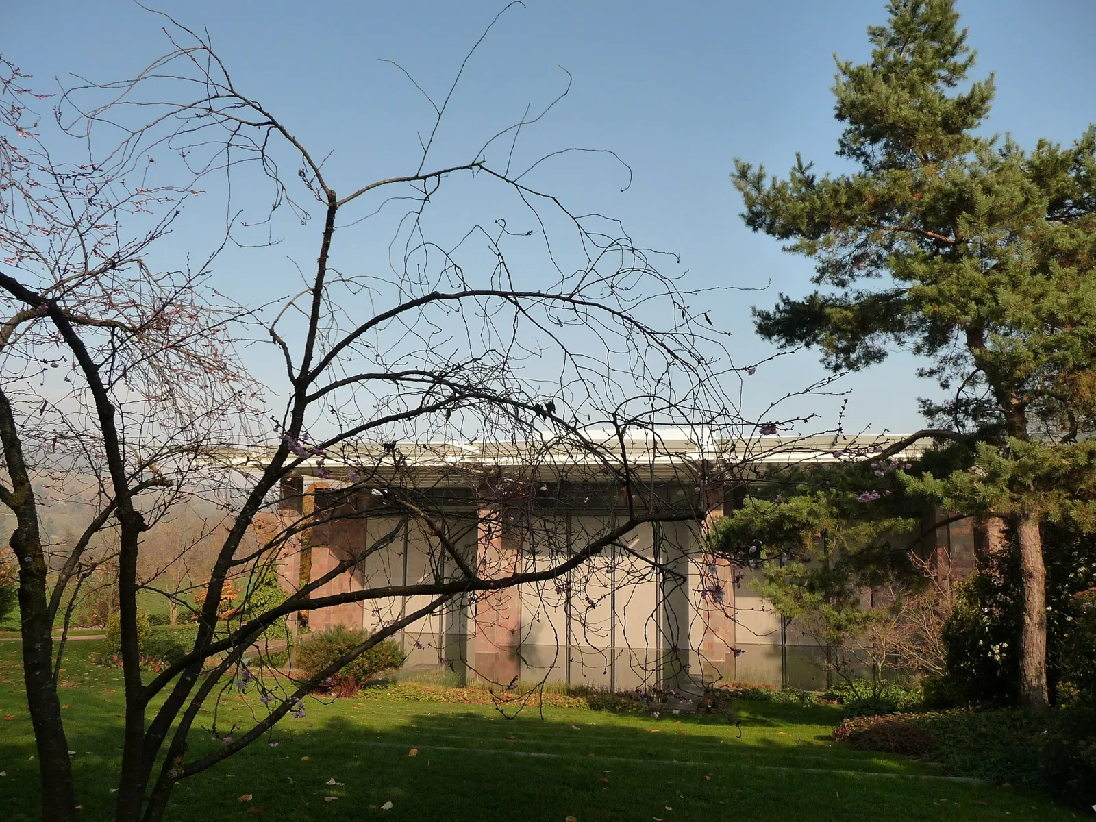 Fundación Beyeler