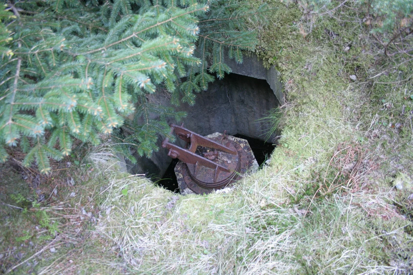 Festung Fjell