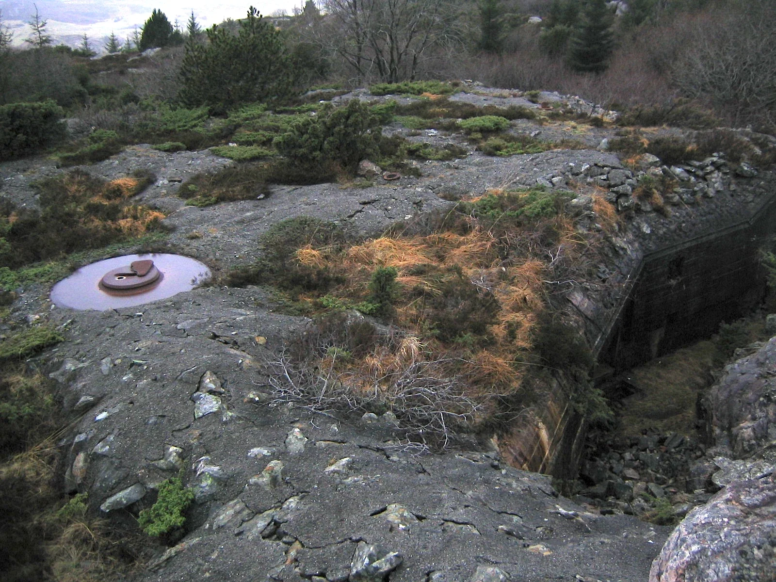 Festung Fjell