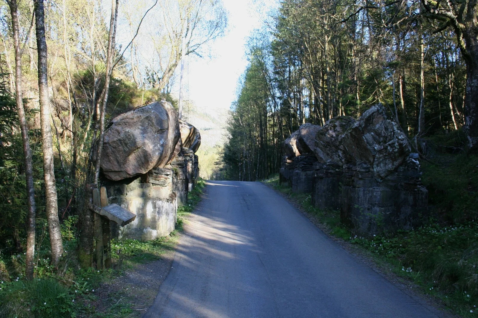 Festung Fjell