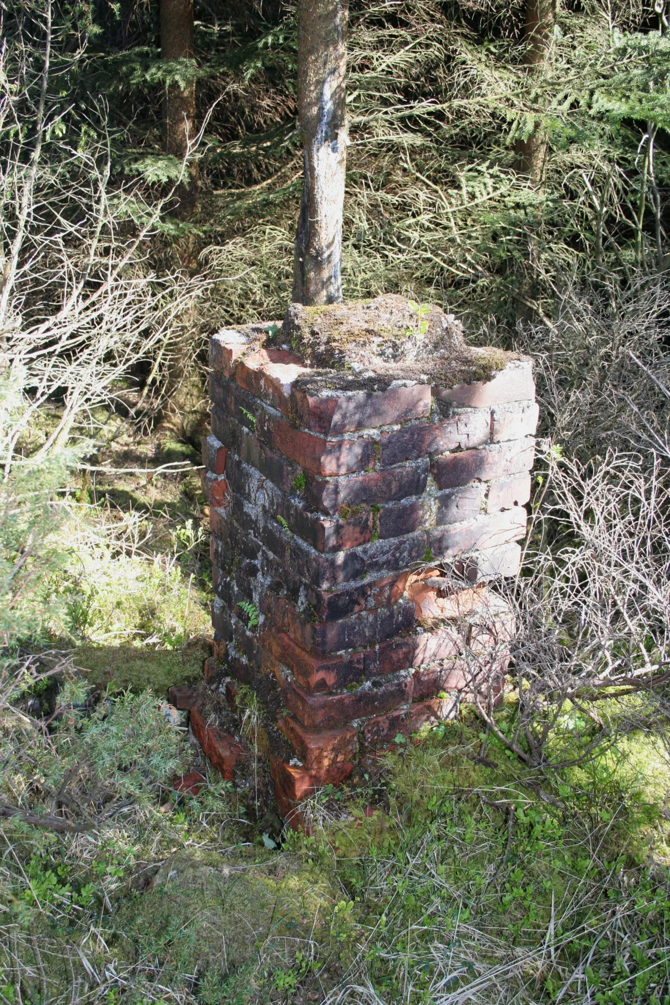 Festung Fjell