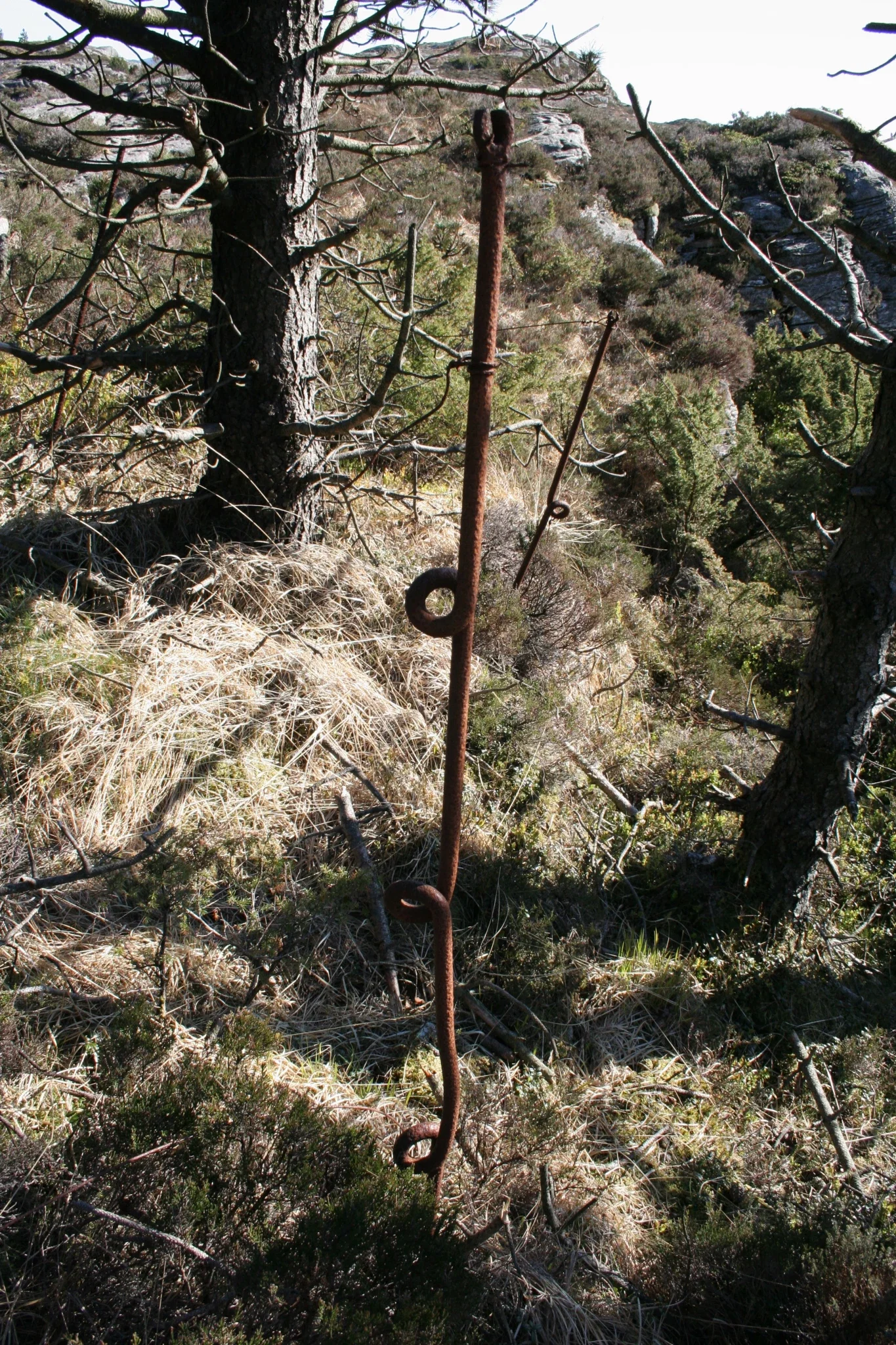 Festung Fjell