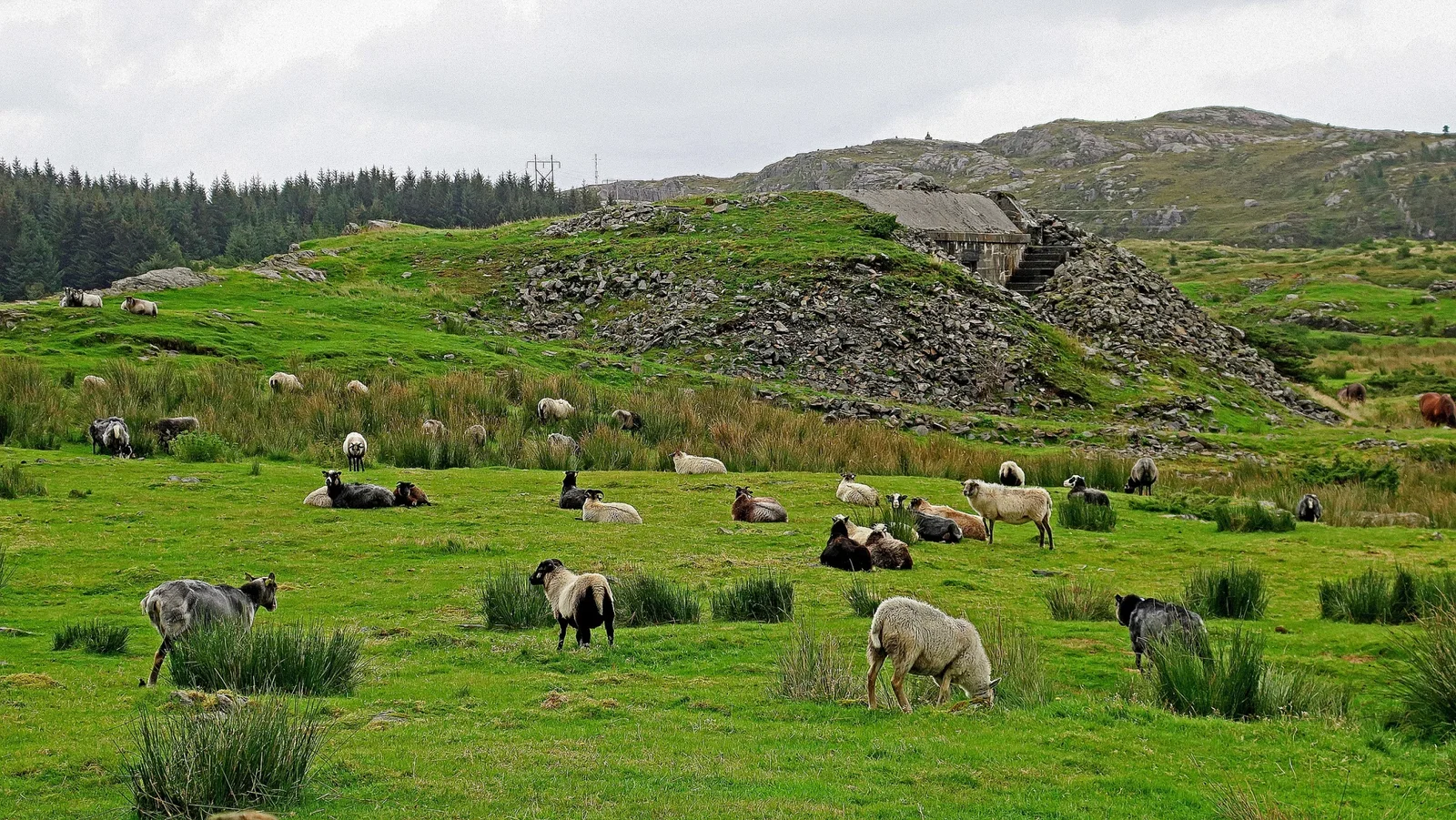 Festung Fjell