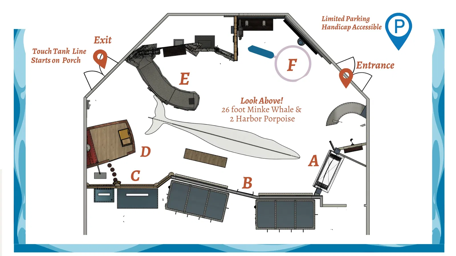 Maine State Aquarium