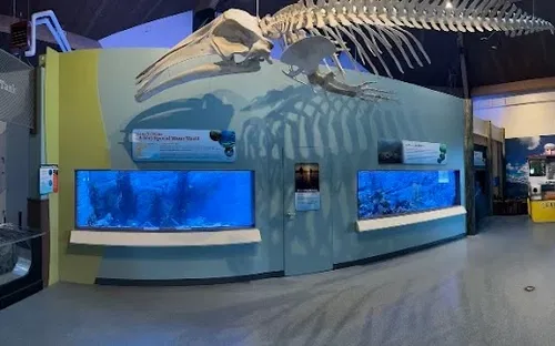 Maine State Aquarium