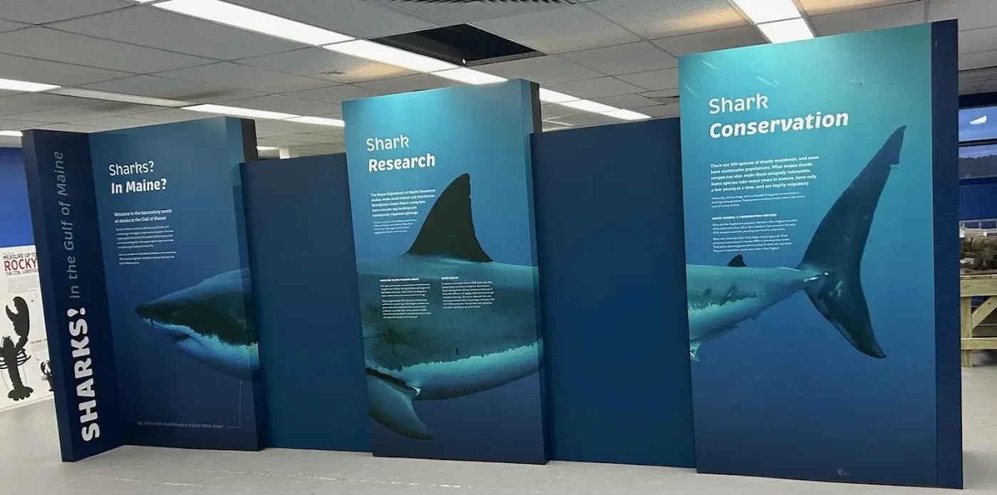 Maine State Aquarium