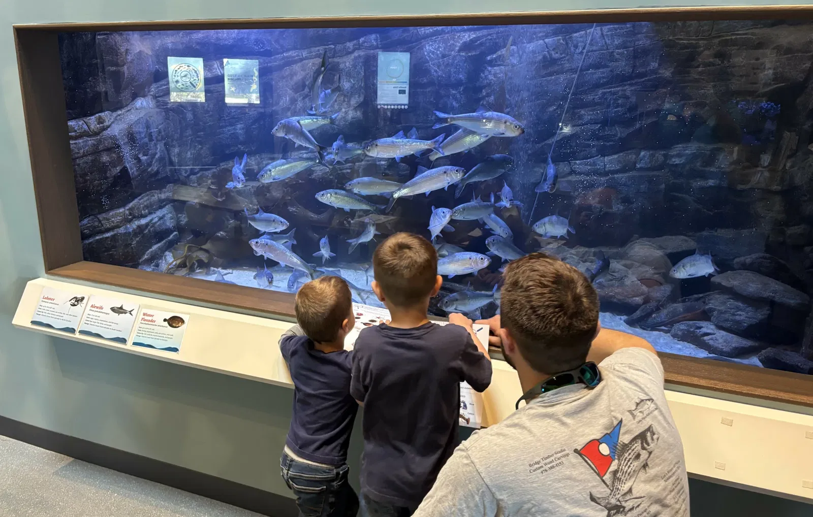 Maine State Aquarium