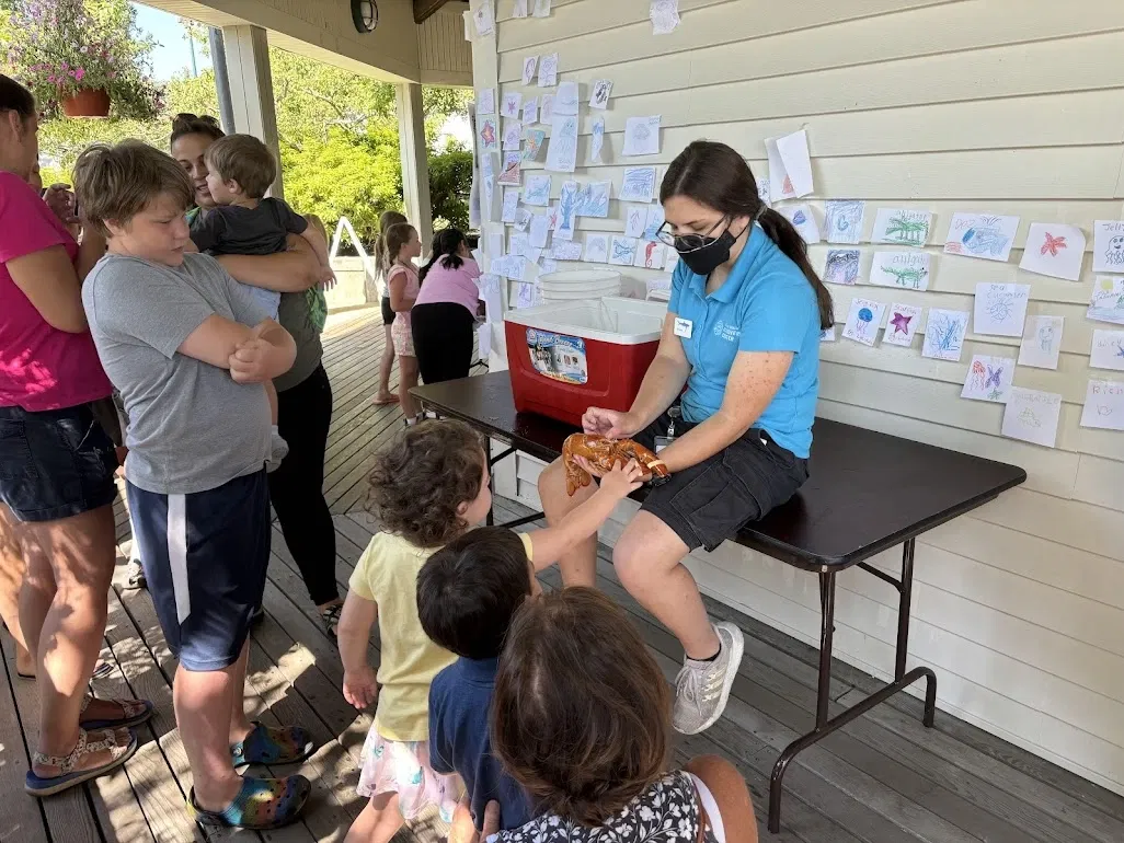 Maine State Aquarium