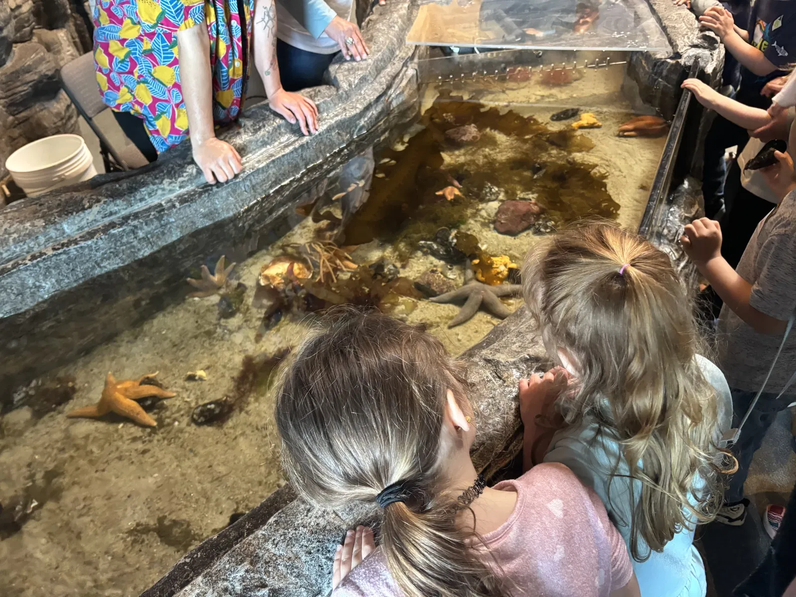 Maine State Aquarium