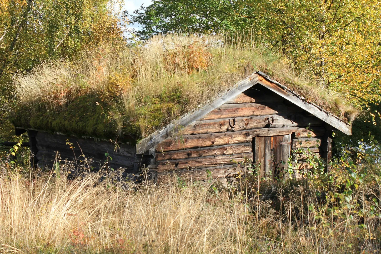 Anno The Glomdal Museum
