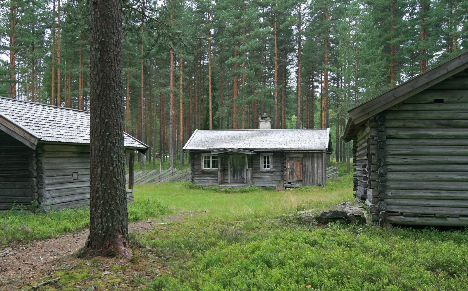 Anno The Glomdal Museum